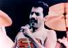 Super Freddie in Mexico