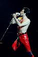 Dallas 09-08-80 Freddie 