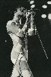Freddie on stage 1977