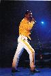 Brussels 1986 no 5