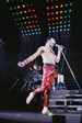 Queen 1984