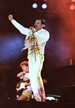 Knebworth concert 5