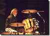 Roger Taylor 
